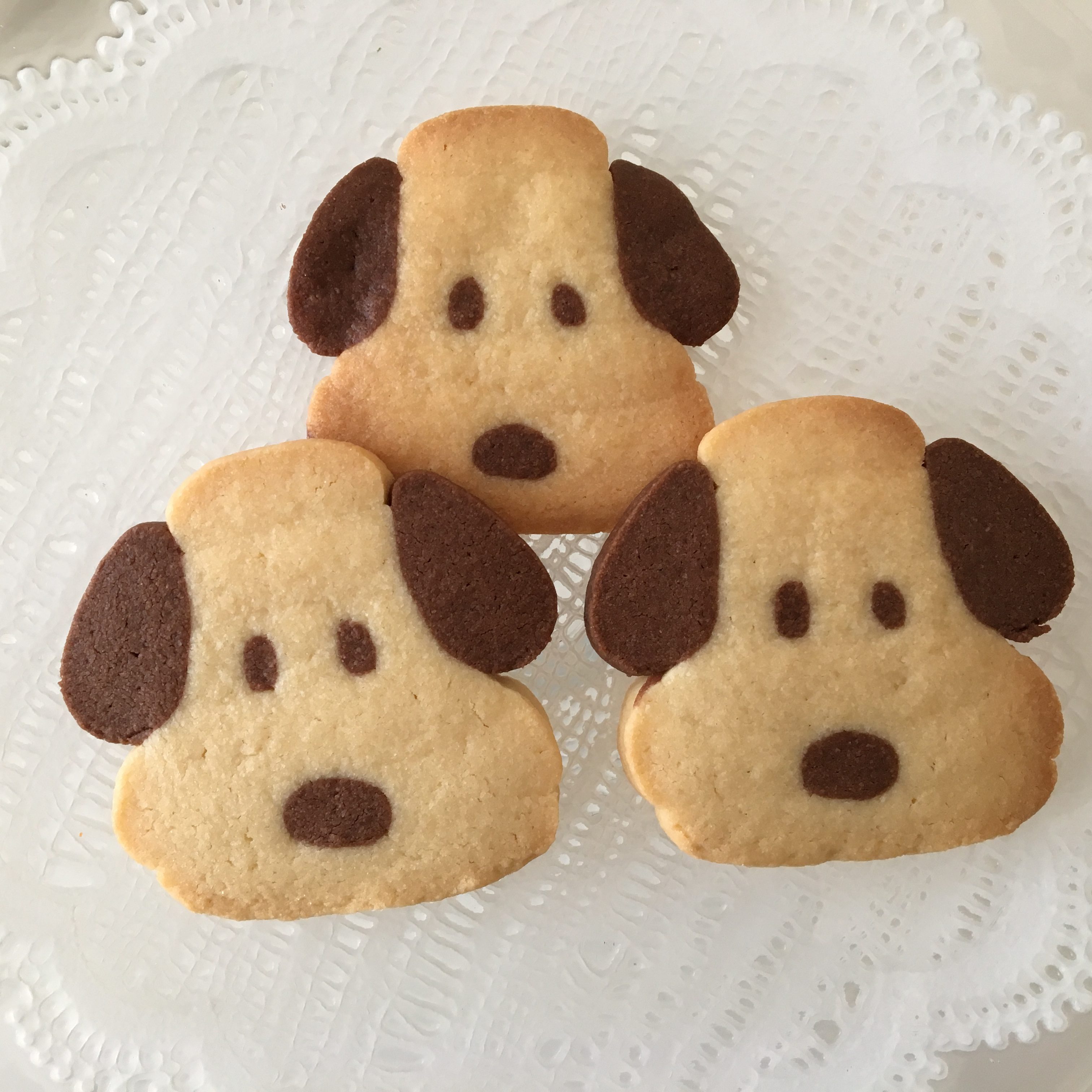 2月 3月 犬 一般社団法人 日本アイスボックスクッキー協会